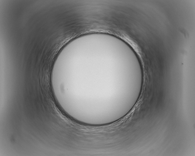 X0000111150009200906301047