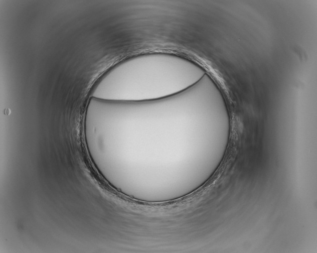 X0000111150010200906301047
