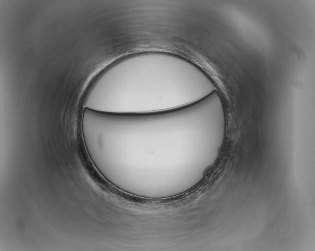 X0000111150012200906301047