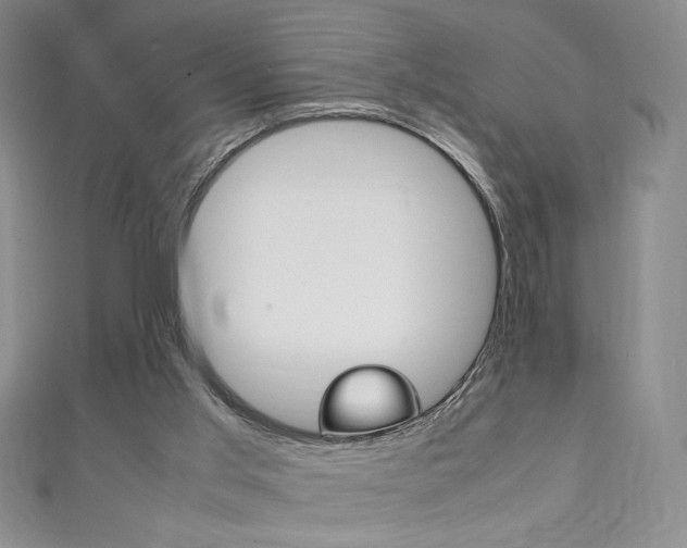 X0000111150013200906301047
