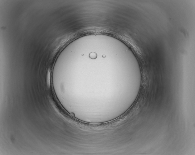 X0000111150014200906301047