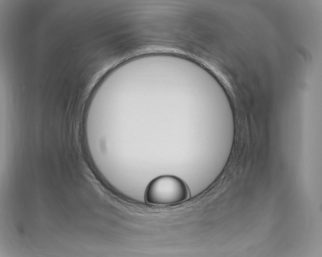 X0000111150015200906301047