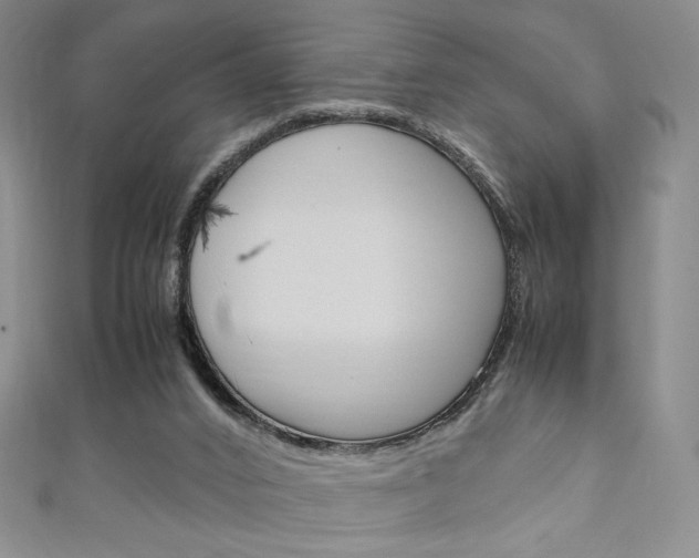 X0000111150016200906301047