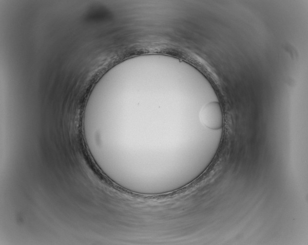 X0000111150018200906301047