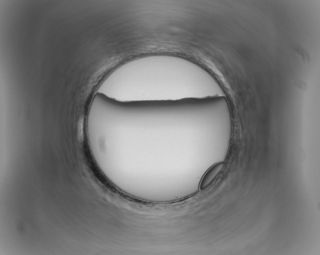 X0000111150019200906301047