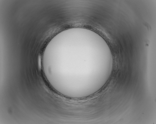 X0000111150022200906301047