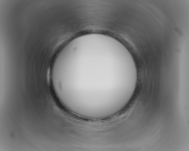 X0000111150024200906301047