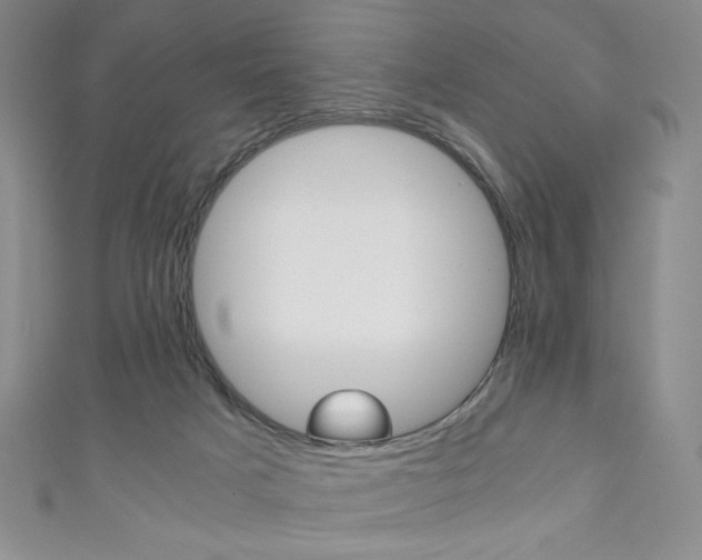 X0000111150025200906301047