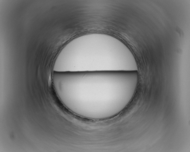X0000111150028200906301047