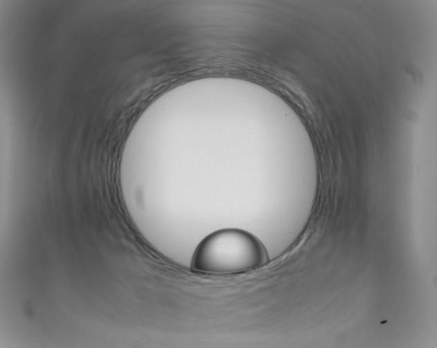 X0000111150029200906301047
