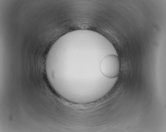 X0000111150030200906301047