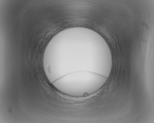 X0000111150031200906301047