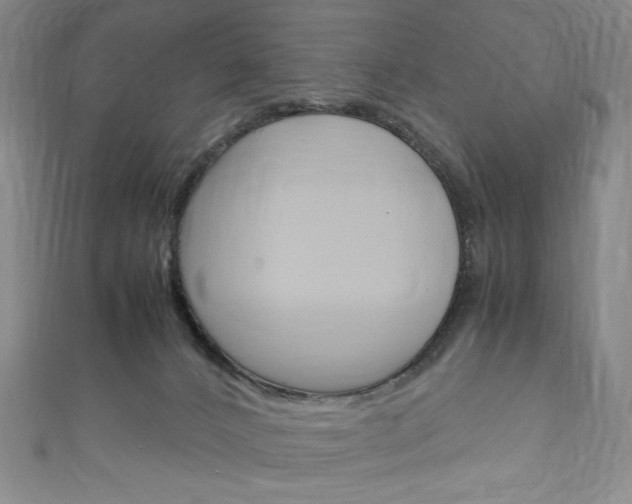 X0000111150032200906301047