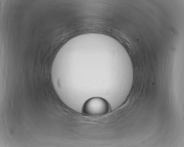 X0000111150033200906301047