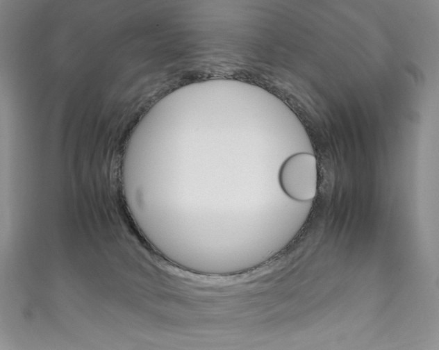 X0000111150034200906301047
