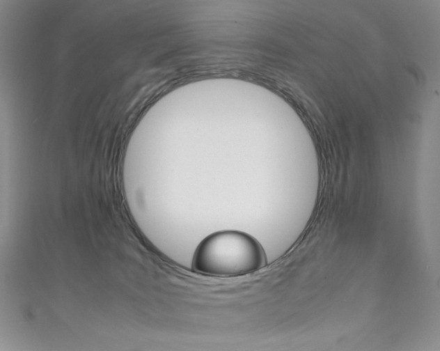 X0000111150035200906301047