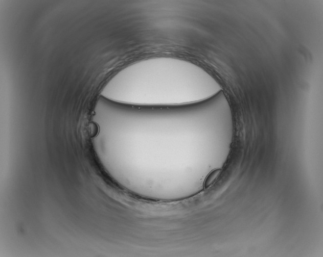 X0000111150036200906301047