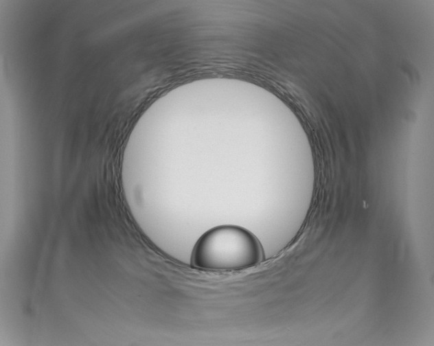 X0000111150037200906301047