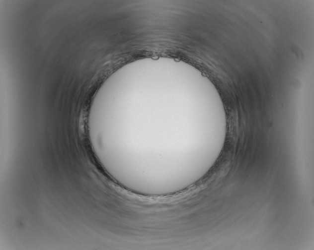 X0000111150038200906301047