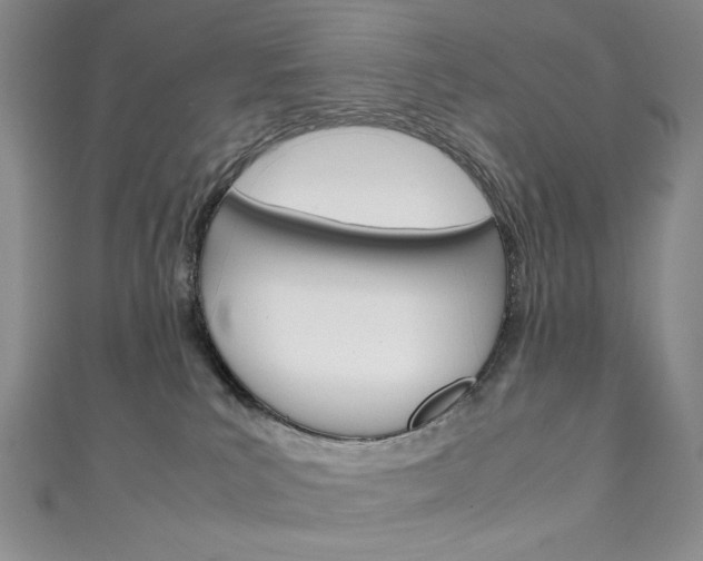 X0000111150039200906301047