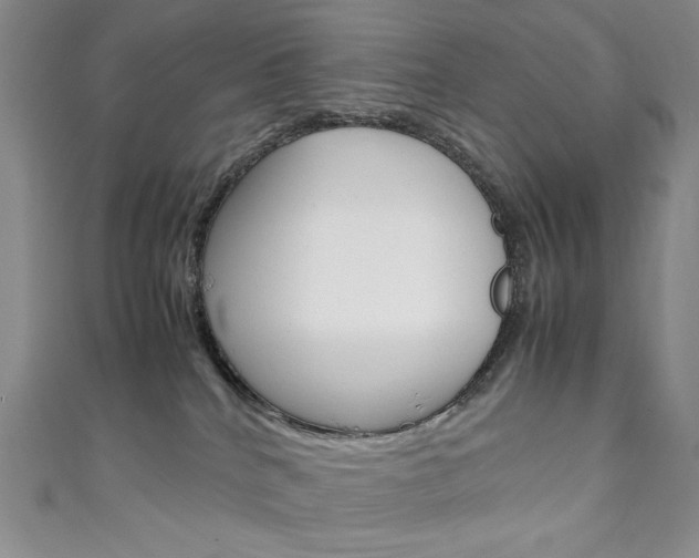 X0000111150040200906301047