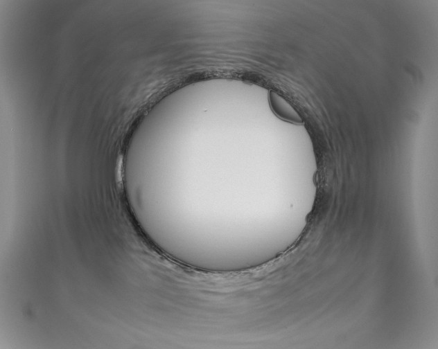 X0000111150041200906301047