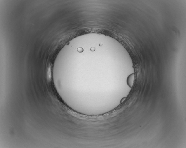 X0000111150042200906301047