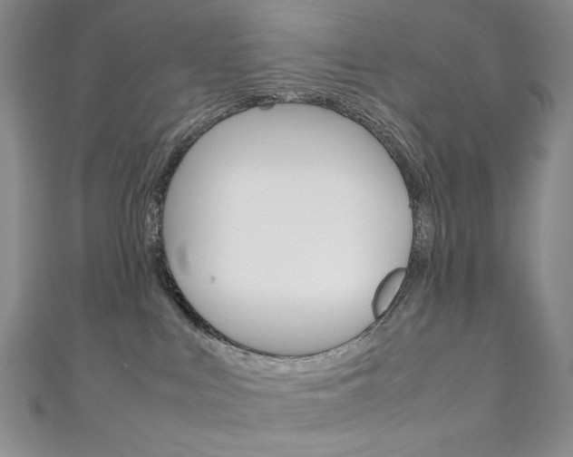 X0000111150043200906301047