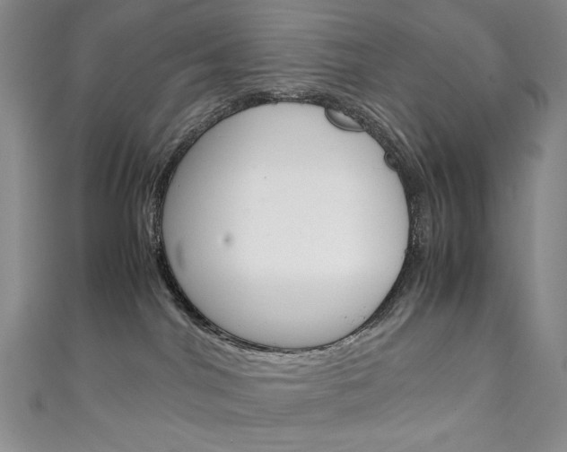 X0000111150044200906301047