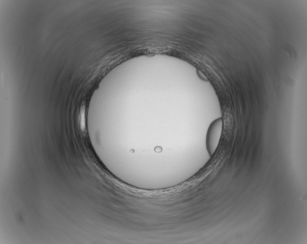 X0000111150046200906301047