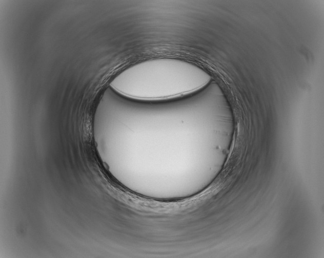 X0000111150048200906301047
