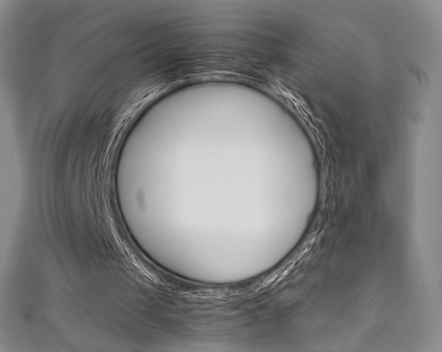 X0000111150049200906301046