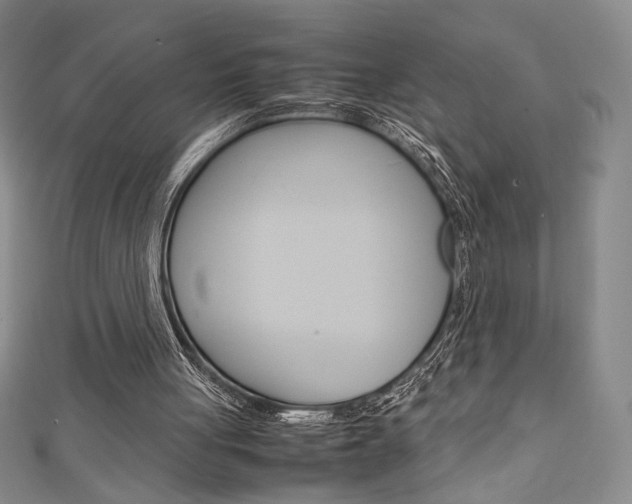 X0000111150051200906301046
