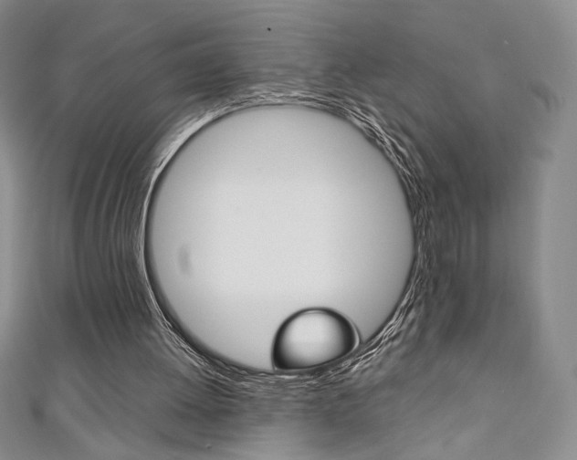 X0000111150052200906301046