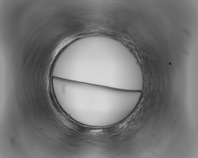 X0000111150054200906301046