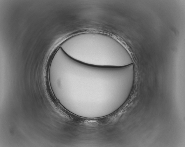 X0000111150055200906301046