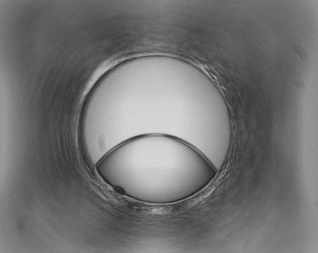 X0000111150056200906301046