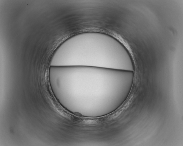 X0000111150057200906301046