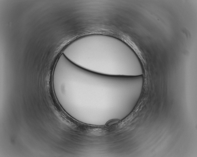 X0000111150058200906301046