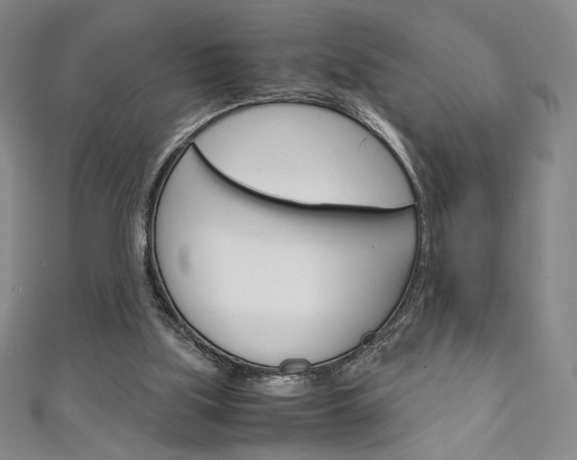 X0000111150059200906301046