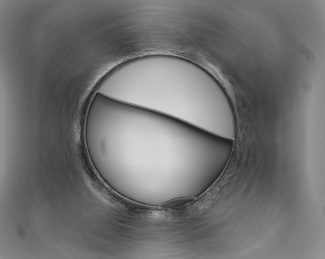 X0000111150060200906301046