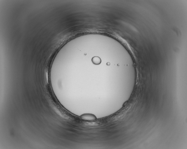 X0000111150061200906301046