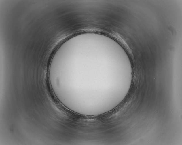 X0000111150063200906301046
