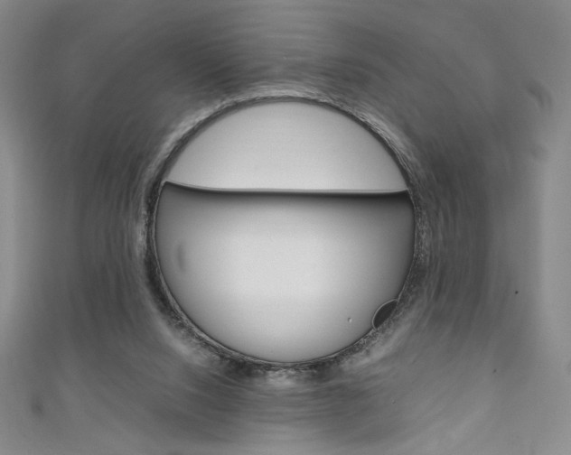 X0000111150064200906301046