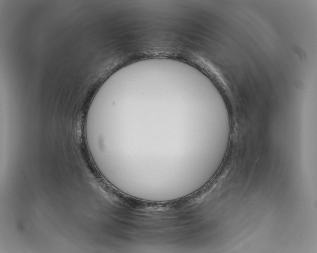 X0000111150065200906301046