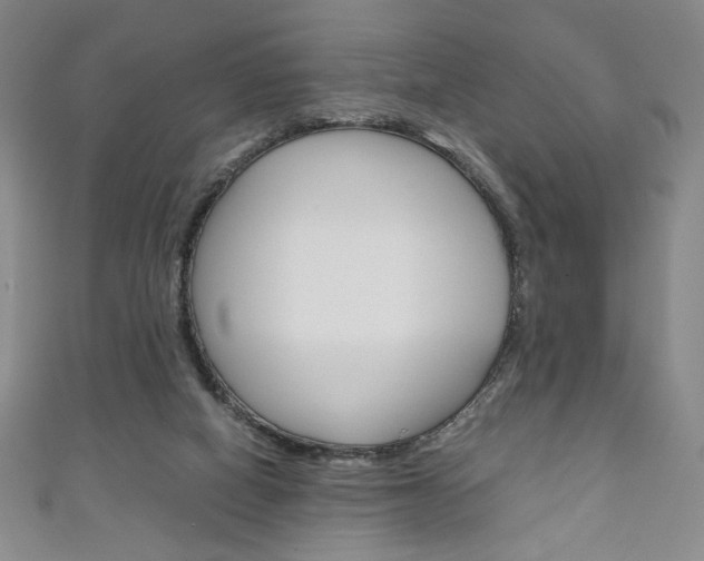 X0000111150066200906301046