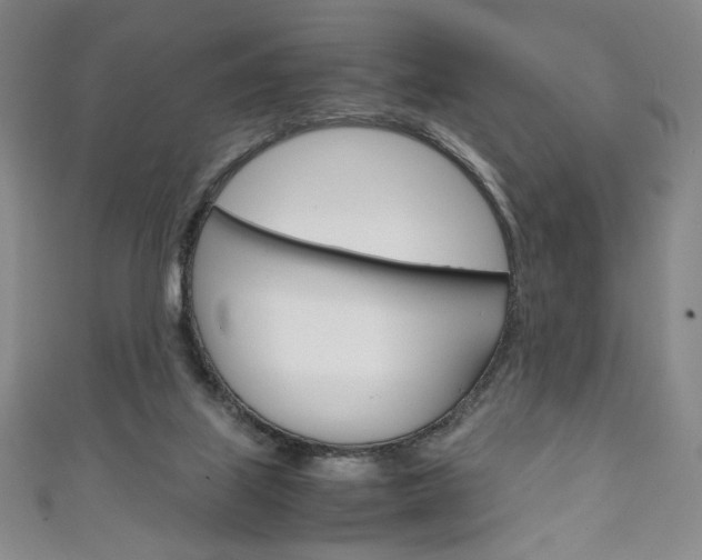 X0000111150067200906301046