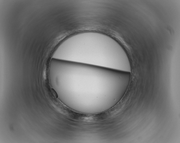 X0000111150068200906301046