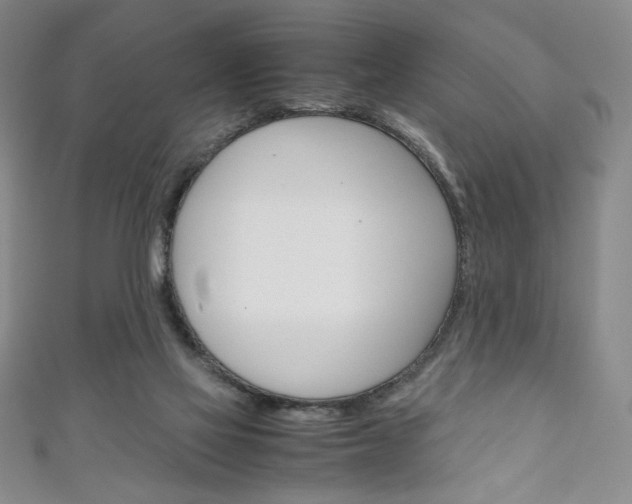 X0000111150069200906301046