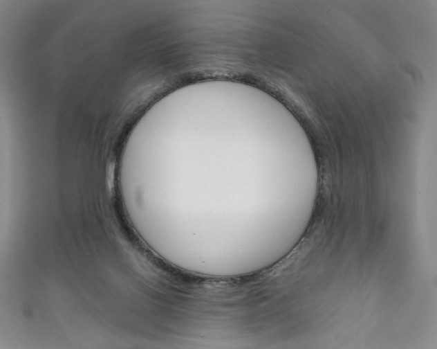 X0000111150070200906301046
